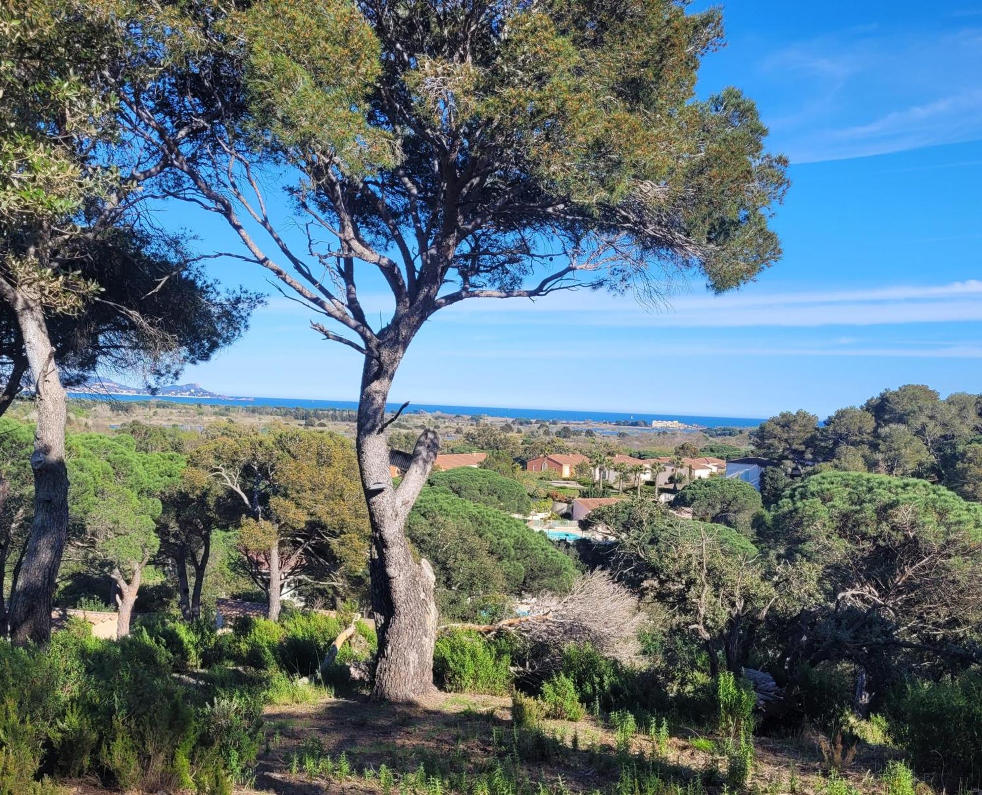 La Joya De Villepey Saint-Aygulf Kültér fotó